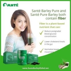 Santé Barley Powder 01