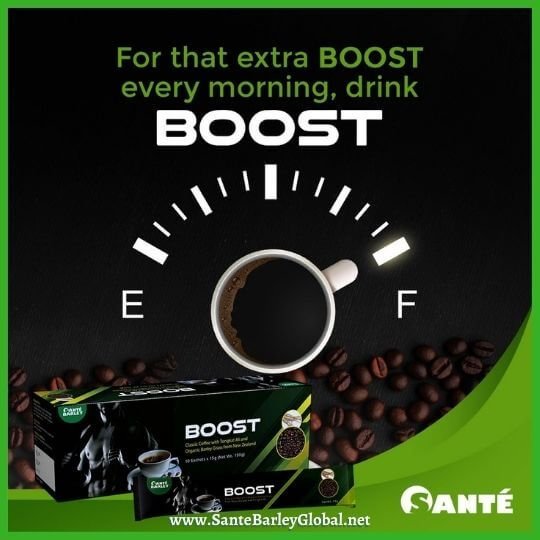 Sante Boost Coffee 03