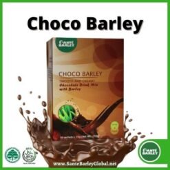 Sante Choco Barley 03