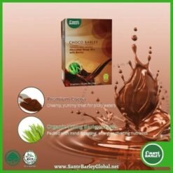Sante Choco Barley 04