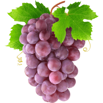 Barley Grass - Grapes Orac Value