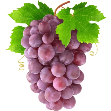 Barley Grass - Grapes Orac Value