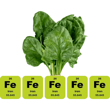 Barley Grass has nearly 5x the Iron in Spinach